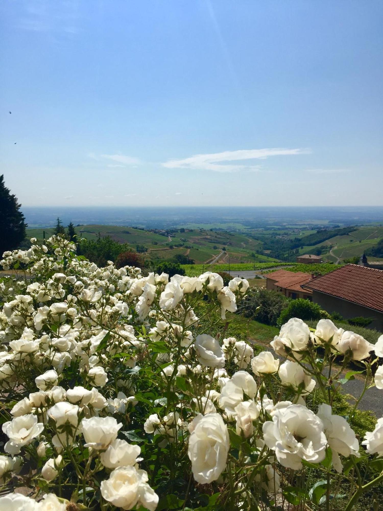 Le Balcon Du Fetre Bed and Breakfast Chiroubles Exterior foto